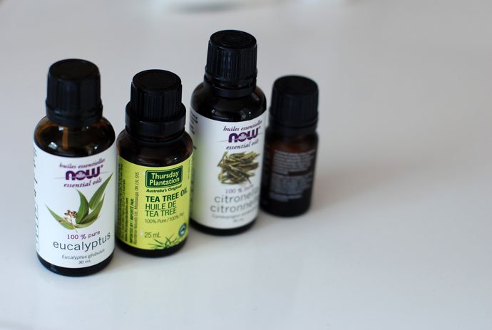 Citronella Oil Scents that Mice Dislike