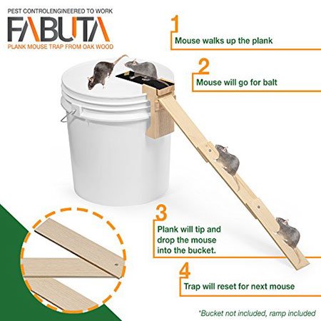 FABUTA Plank Mouse Trap from Oak Wood