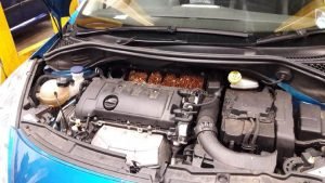 Get Rid of Mice in the Car