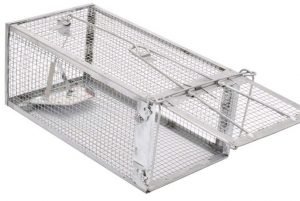Live Mouse Trap