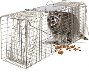 OxGord Live Animal Trap