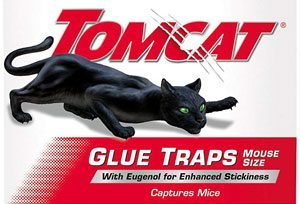 Tomcat Mouse Glue Trap