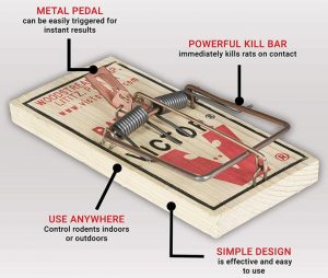 Victor Metal Pedal Rat Trap