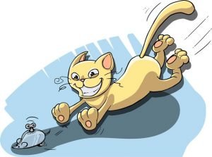Get a Cat to kill mice