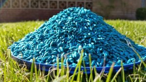 Get Rid of Mice using Poison